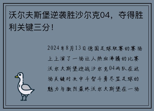 沃尔夫斯堡逆袭胜沙尔克04，夺得胜利关键三分！